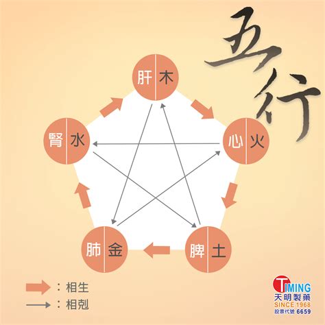 身體五行|【中醫小知識